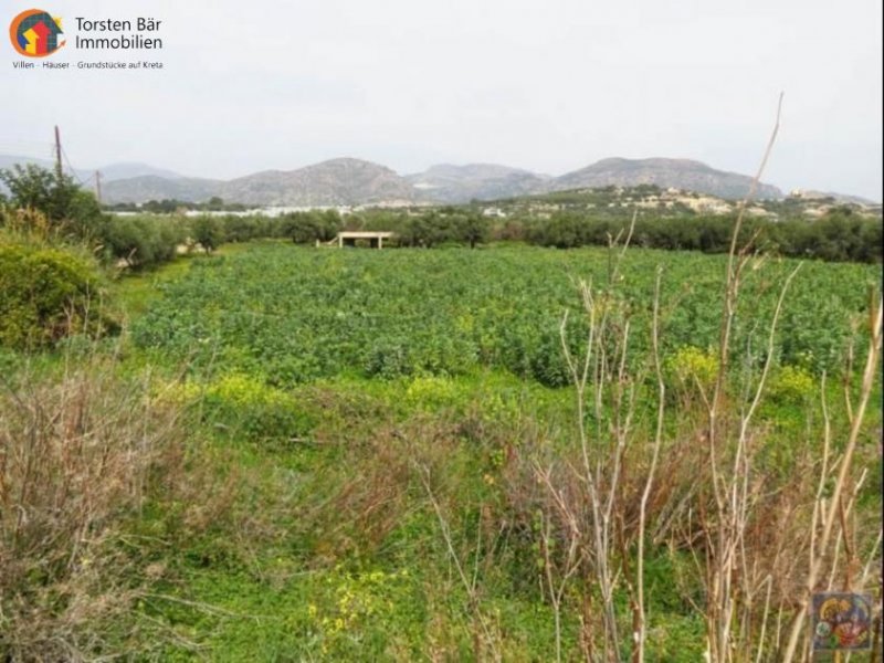 Makrigialos, Kreta, Makrigialos, Wunderschönes Grundstück mit Meerblick Grundstück kaufen